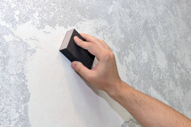 Best Asbestos and Lead Testing During Mold Inspection  in Brentwood, NY