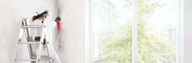 Best Commercial Mold Inspection  in Brentwood, NY