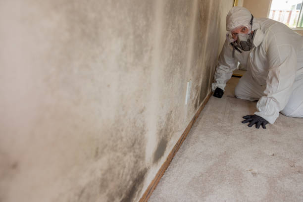 Best Indoor Air Quality Assessment  in Brentwood, NY
