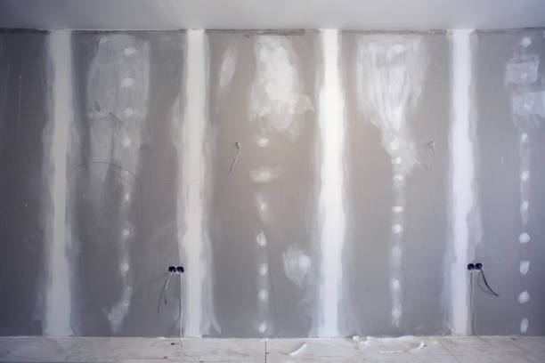 Best Airborne Mold Testing  in Brentwood, NY